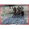 Image 2 : A fantastic high volume dove hunt in Argentina for 4 hunters for 4 days.