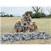 Image 3 : A fantastic high volume dove hunt in Argentina for 4 hunters for 4 days.