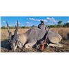 Image 3 : Niassa Reserve in Northern Mozambique Livingston Eland hunt for 5 days in Northern Mozambique