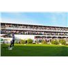 Image 1 : 2 tickets to the 16th Hole Skybox on Sunday at The Waste Management Phoenix Open.