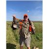 Image 5 : European Pheasants for 4 Hunters in Minnesota