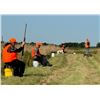Image 6 : European Pheasants for 4 Hunters in Minnesota