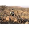 Image 1 : 7 day Namibian Plains Game Safari for  2 hunters with Hugo Kotze safaris