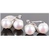 Image 2 : STERLING SILVER COLLECTIBLE LADIES EARRINGS