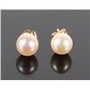Image 1 : 14K YELLOW GOLD WHITE PEARL LADIES STUD EARRINGS