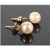 Image 2 : 14K YELLOW GOLD WHITE PEARL LADIES STUD EARRINGS
