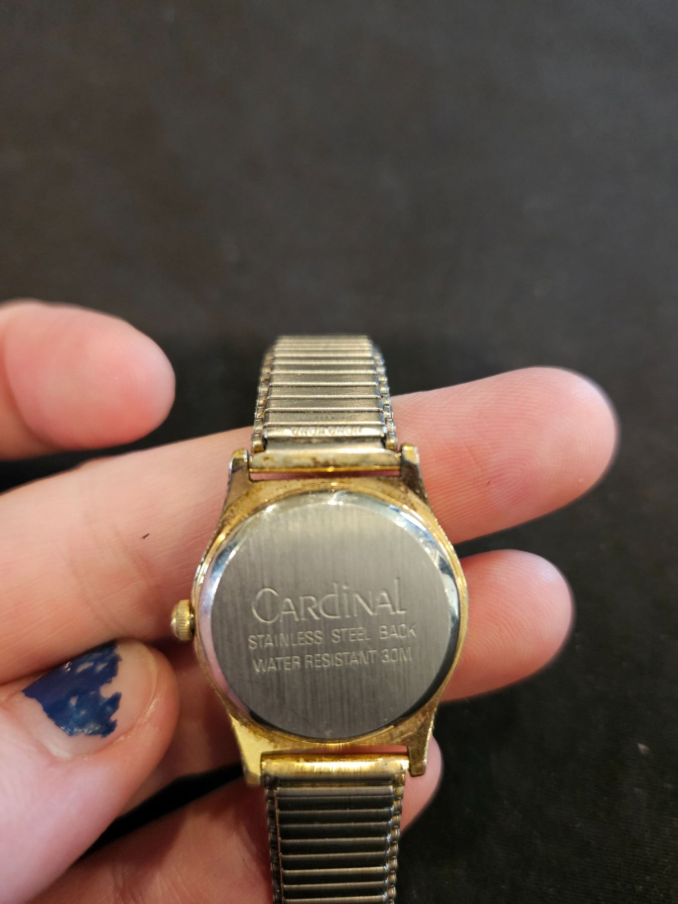 Cardinal watch with stretchy band