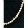 Image 2 : Vintage Slightly Graduated Genuine Pearls  Necklace Original Clasp, String Slightly Loose