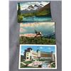 Image 3 : 13 Vintage Alberta (Mostly Banff) Postcards