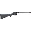 Image 1 : HENRY U.S. SURVIVAL AR-7 22LR 16.125"
