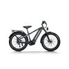 Image 1 : Himiway D5 Pro Electric Bike