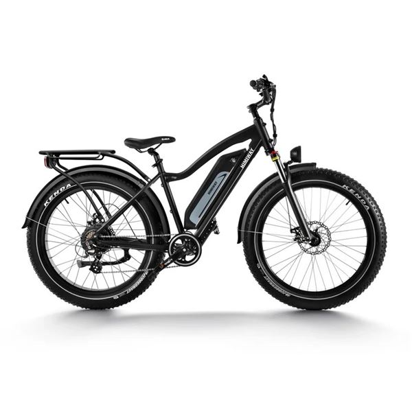 Himiway D3 Electric Bike