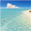 Image 2 : Afternoon Swim by Mackin Dan