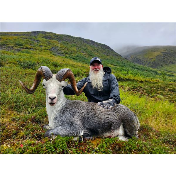 Stone Sheep Hunt with Yukon Stone Outfitters Special Drawing