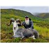 Image 1 : Stone Sheep Hunt with Yukon Stone Outfitters Special Drawing