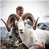 Image 2 : Stone Sheep Hunt with Yukon Stone Outfitters Special Drawing