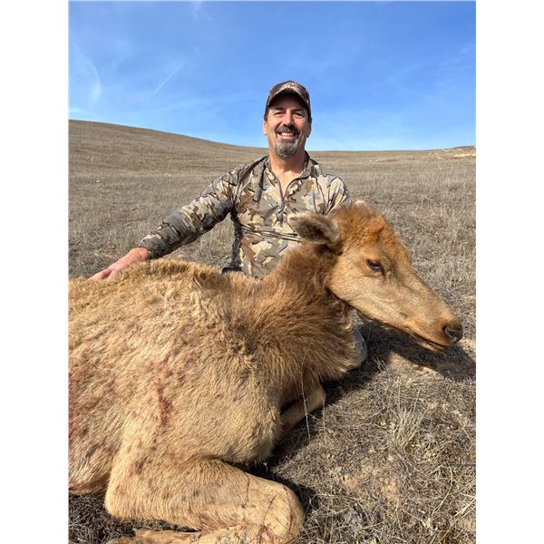 1X1 GUIDED TULE ELK COW RIFLE HUNT FOR 1 HUNTER AND 1 NON-HUNTER