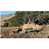 Image 2 : 1X1 GUIDED TULE ELK COW RIFLE HUNT FOR 1 HUNTER AND 1 NON-HUNTER