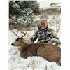 Image 1 : 3 NIGHT / 2 DAY SELF-GUIDED SITKA BLACKTAIL HUNT IN ALASKA FOR 1 HUNTER