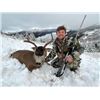 Image 5 : 3 NIGHT / 2 DAY SELF-GUIDED SITKA BLACKTAIL HUNT IN ALASKA FOR 1 HUNTER