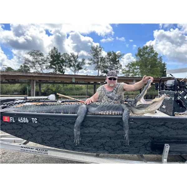 FLORIDA ALLIGATOR HUNT FOR TWO WITH TWO GATORS INCLUDED