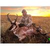 Image 1 : MONTANA ANTELOPE HUNT FOR ONE HUNTER