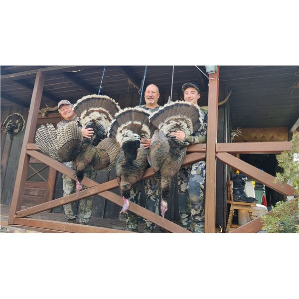 GOULDS TURKEY HUNT IN MEXICO FOR TWO HUNTERS, FIVE DAYS / FOUR NIGHTS