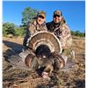 Image 3 : GOULDS TURKEY HUNT IN MEXICO FOR TWO HUNTERS, FIVE DAYS / FOUR NIGHTS
