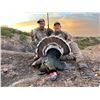 Image 5 : GOULDS TURKEY HUNT IN MEXICO FOR TWO HUNTERS, FIVE DAYS / FOUR NIGHTS