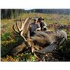 Image 2 : MOOSE HUNT IN BRITISH COLUMBIA FOR ONE HUNTER, NINE DAYS / EIGHT NIGHTS