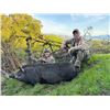 Image 1 : ONE DAY 1X1 PIG HUNT FOR ONE HUNTER IN MENDOCINO COUNTY WITH DONALD C. MARTIN