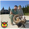 Image 1 : FOUR DAY IBERIAN MOUFLON WITH GIUSEPPE AND CURRO CARRIZOSA IN GORGEOUS SPAIN