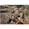 Image 2 : FOUR DAY IBERIAN MOUFLON WITH GIUSEPPE AND CURRO CARRIZOSA IN GORGEOUS SPAIN