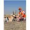 Image 2 : EASTERN COLORADO RIFLE ANTELOPE HUNT FOR ONE HUNTER, TWO DAYS, OCT. 3-4, 2026 ONLY