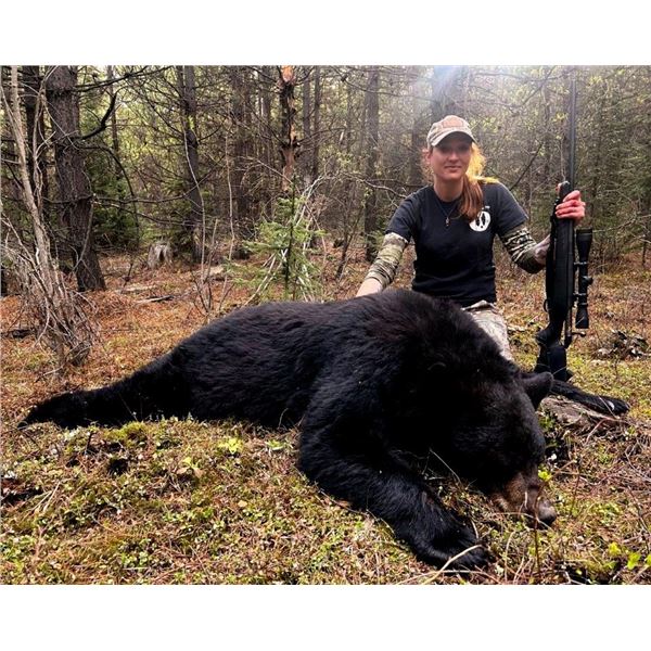 BRITISH COLUMBIA BLACK BEAR HUNT FOR TWO HUNTERS, SIX DAYS