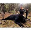Image 1 : BRITISH COLUMBIA BLACK BEAR HUNT FOR TWO HUNTERS, SIX DAYS