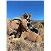 Image 1 : FREE RANGE WEST TEXAS AOUDAD HUNT FOR ONE HUNTER, THREE DAYS  WITH ROWDY MCBRIDE