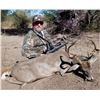 Image 2 : MEXICO COUES DEER HUNT FOR TWO HUNTERS, FOUR DAYS