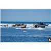 Image 2 : CANADIAN WALRUS HUNT FOR 1 HUNTER, FIVE DAYS HUNT, SEVEN DAY TRIP
