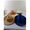 Image 2 : (6) Hats- Straw, Felt, Foam