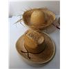 Image 3 : (6) Hats- Straw, Felt, Foam