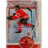 Image 2 : Team Canada Dany Heatley  Action Figure, Unopened, NIB