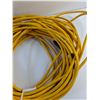 Image 2 : Extension Cord - 100'