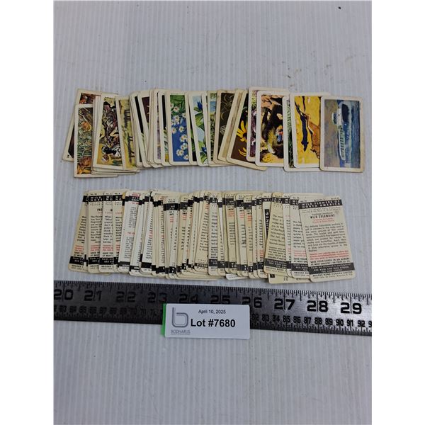 Vintage Red Rose/Brooke Bond Educational Cards