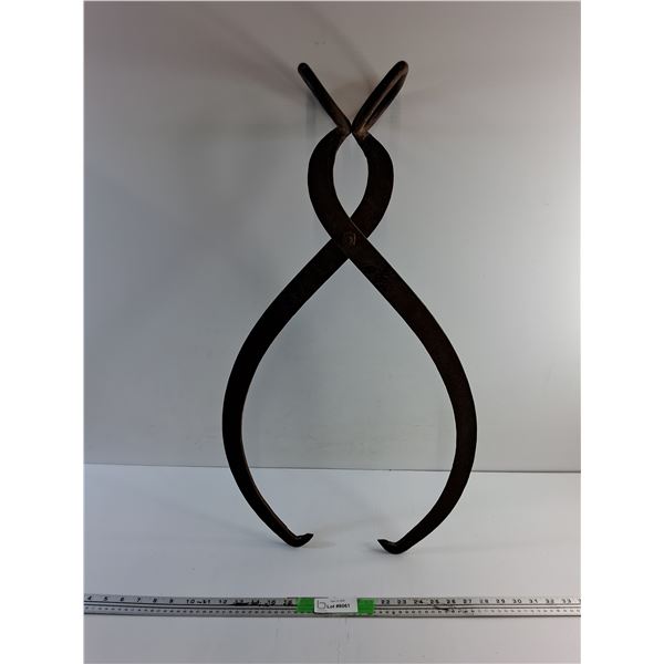 Ice Tongs