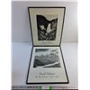 Image 1 : (2) Framed Ansel Adam's Art Prints 20 x 16"