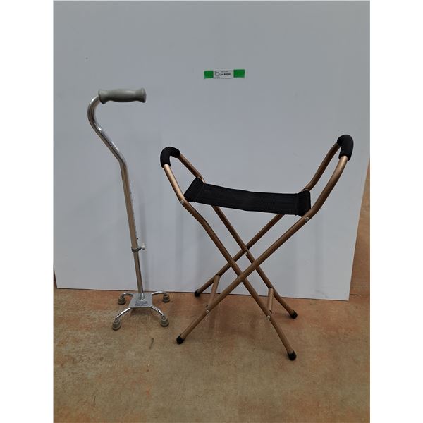 Folding Walker and Quad Cane