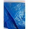Image 2 : Tarp