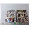 Image 1 : Binder of Mostly 90s Hockey Cards- Mario Lemiux, Brett Hull, Mark Messier, Misc.
