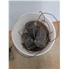Image 2 : *Plastic Bucket and Mole Traps